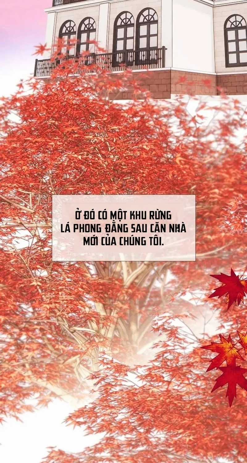 Bảo Vệ Siêu Sao Của Tôi Chapter 159 trang 32