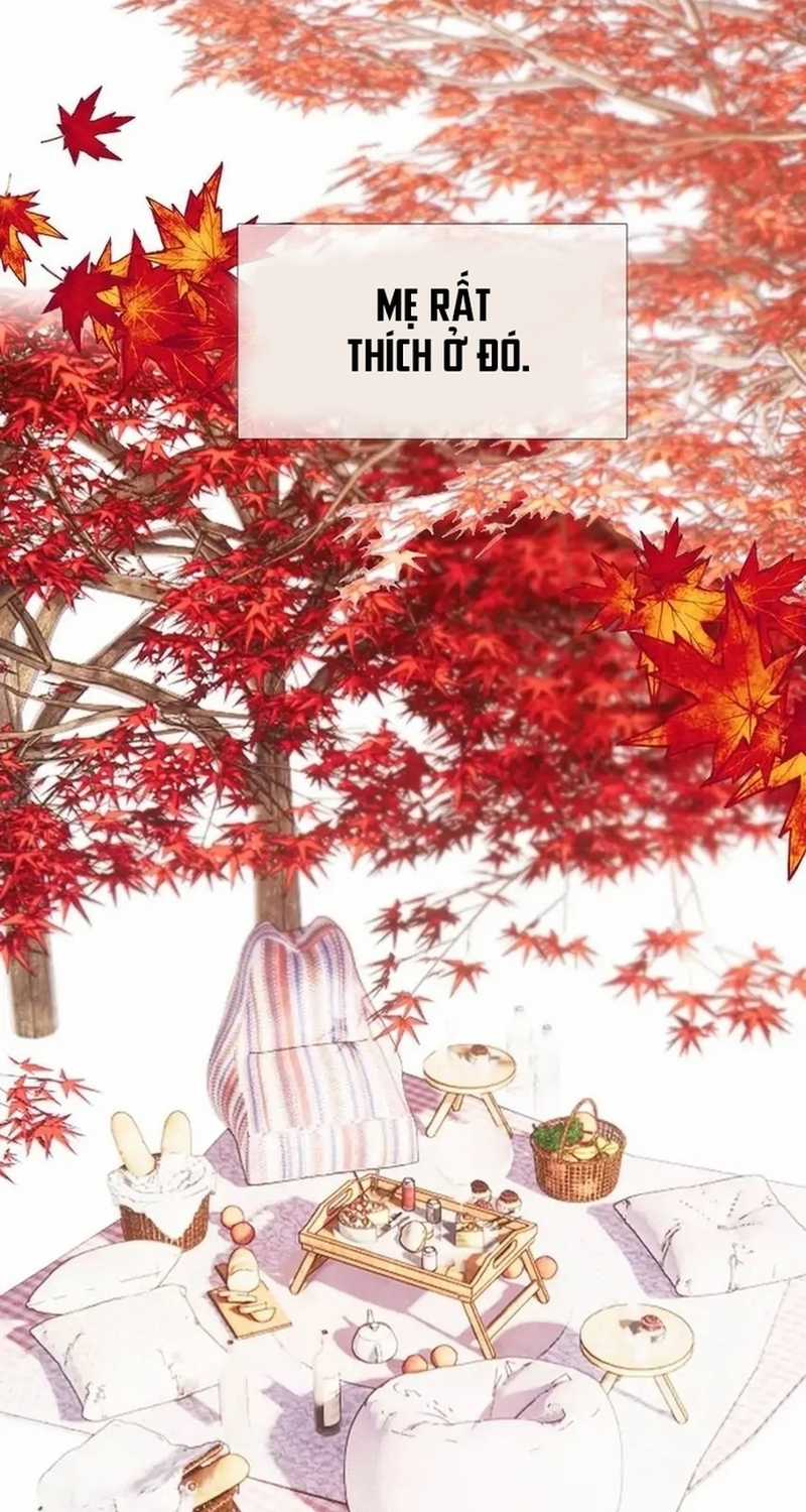 Bảo Vệ Siêu Sao Của Tôi Chapter 159 trang 33