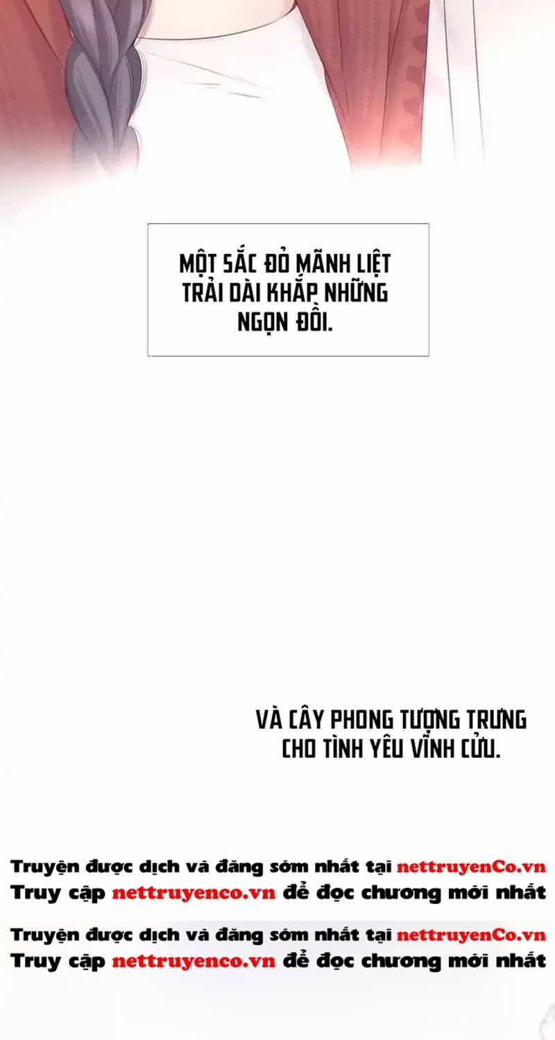 Bảo Vệ Siêu Sao Của Tôi Chapter 159 trang 39