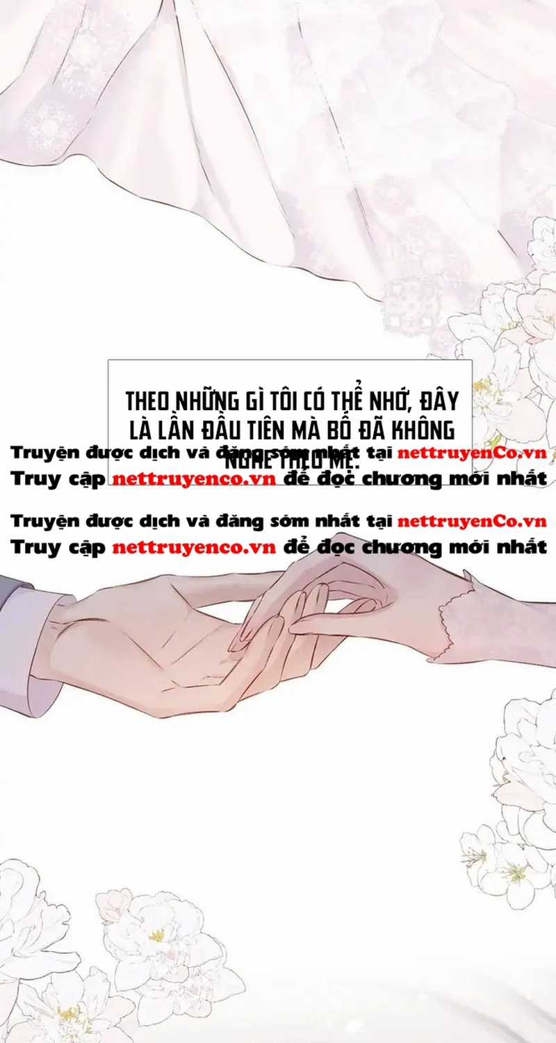 Bảo Vệ Siêu Sao Của Tôi Chapter 159 trang 42