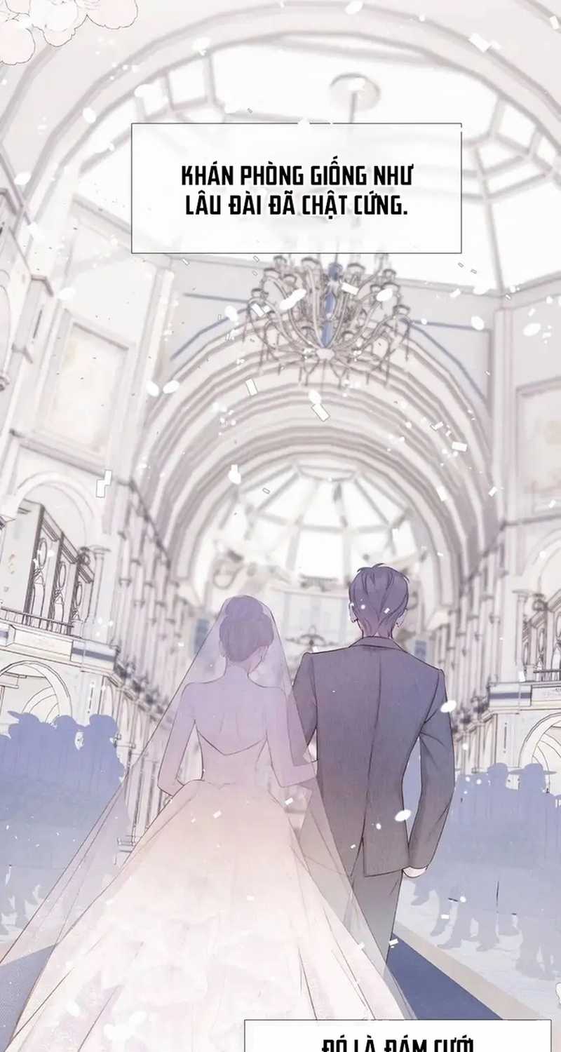 Bảo Vệ Siêu Sao Của Tôi Chapter 159 trang 43