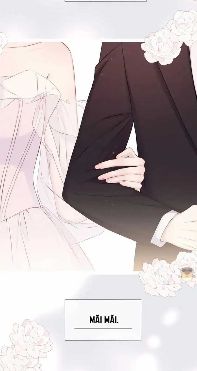 Bảo Vệ Siêu Sao Của Tôi Chapter 159 trang 52