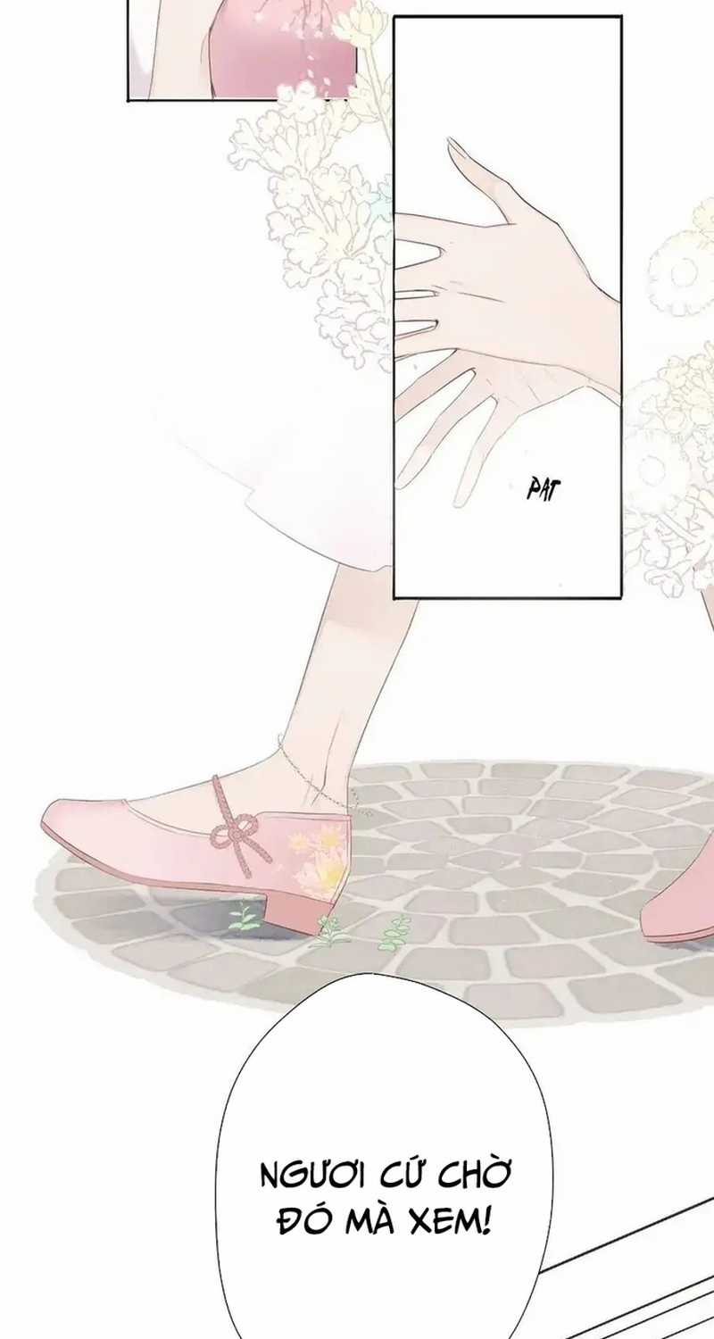 Bảo Vệ Siêu Sao Của Tôi Chapter 160 trang 14