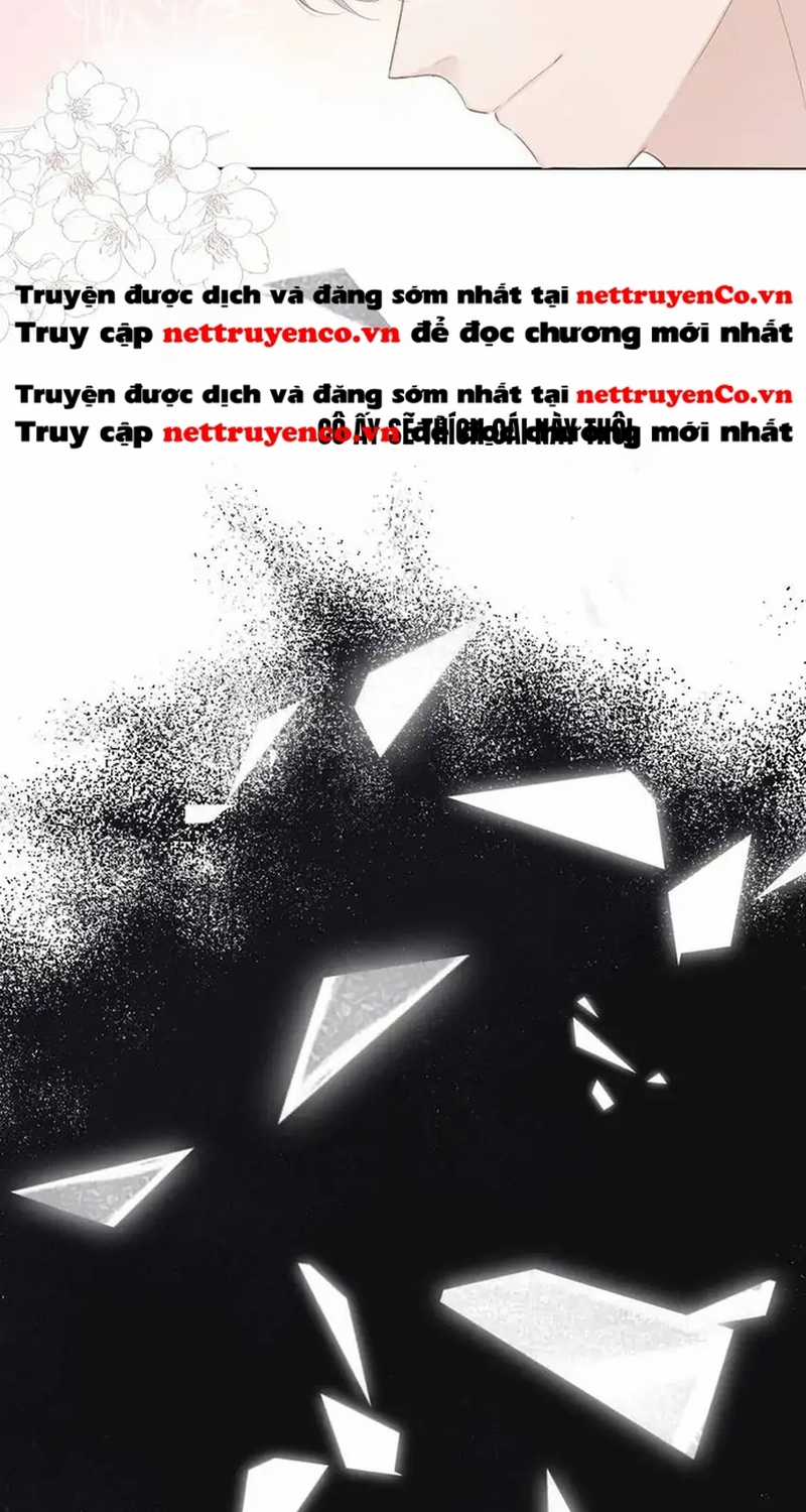 Bảo Vệ Siêu Sao Của Tôi Chapter 161 trang 46