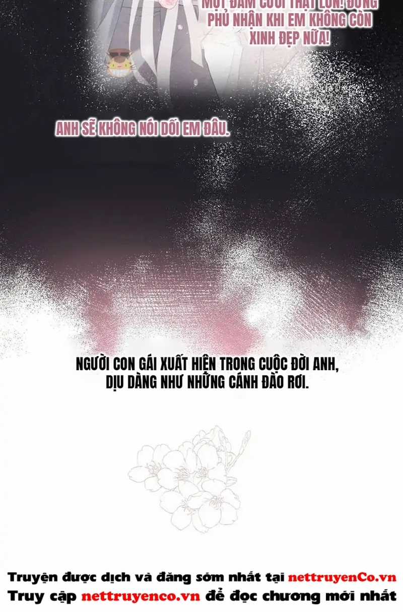 Bảo Vệ Siêu Sao Của Tôi Chapter 161 trang 51