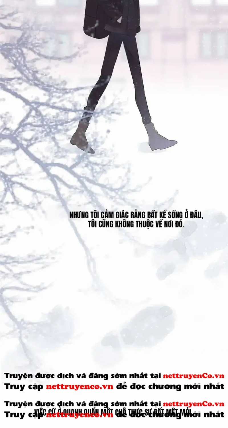 Bảo Vệ Siêu Sao Của Tôi Chapter 162 trang 10