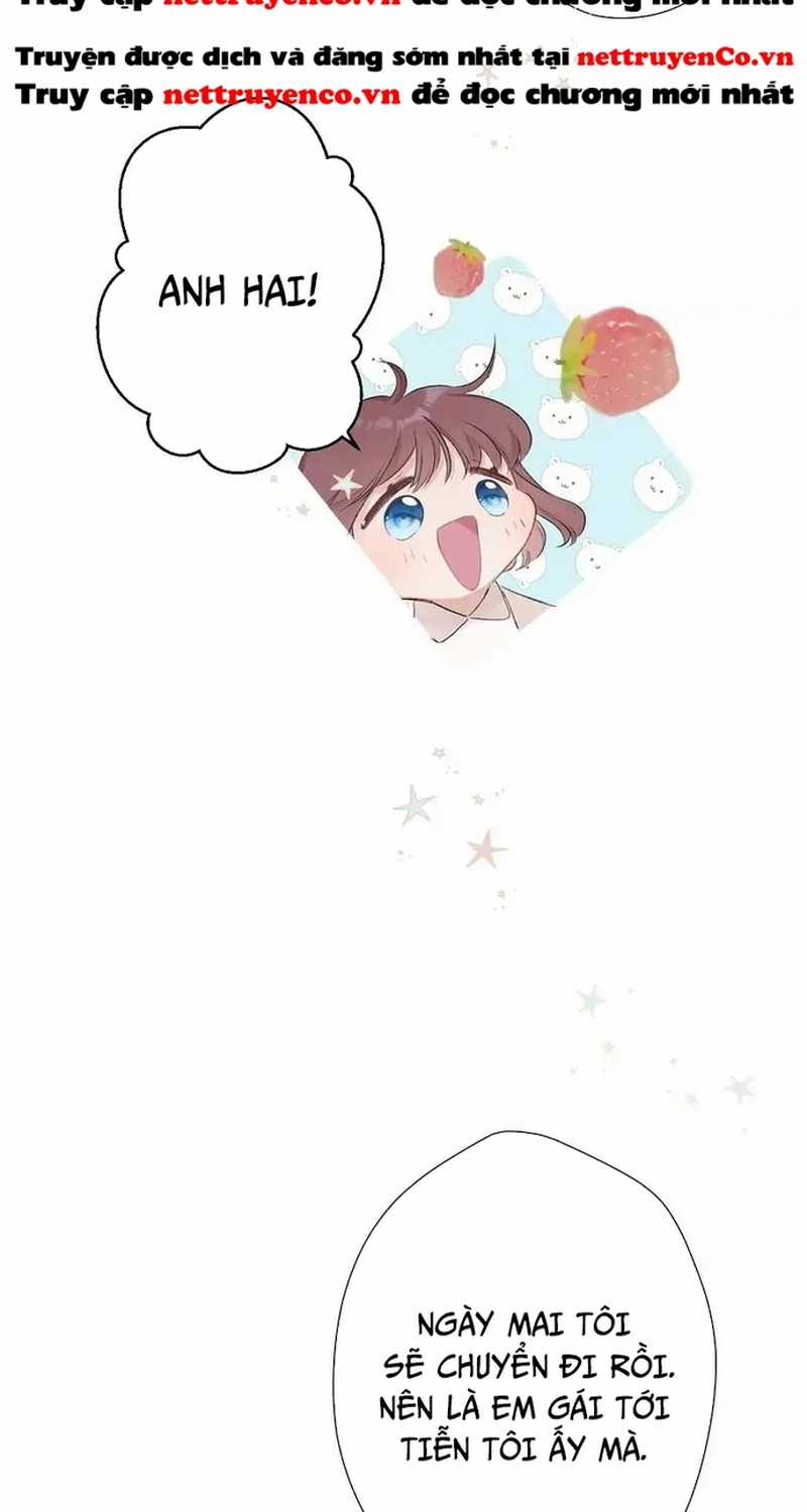 Bảo Vệ Siêu Sao Của Tôi Chapter 162 trang 17