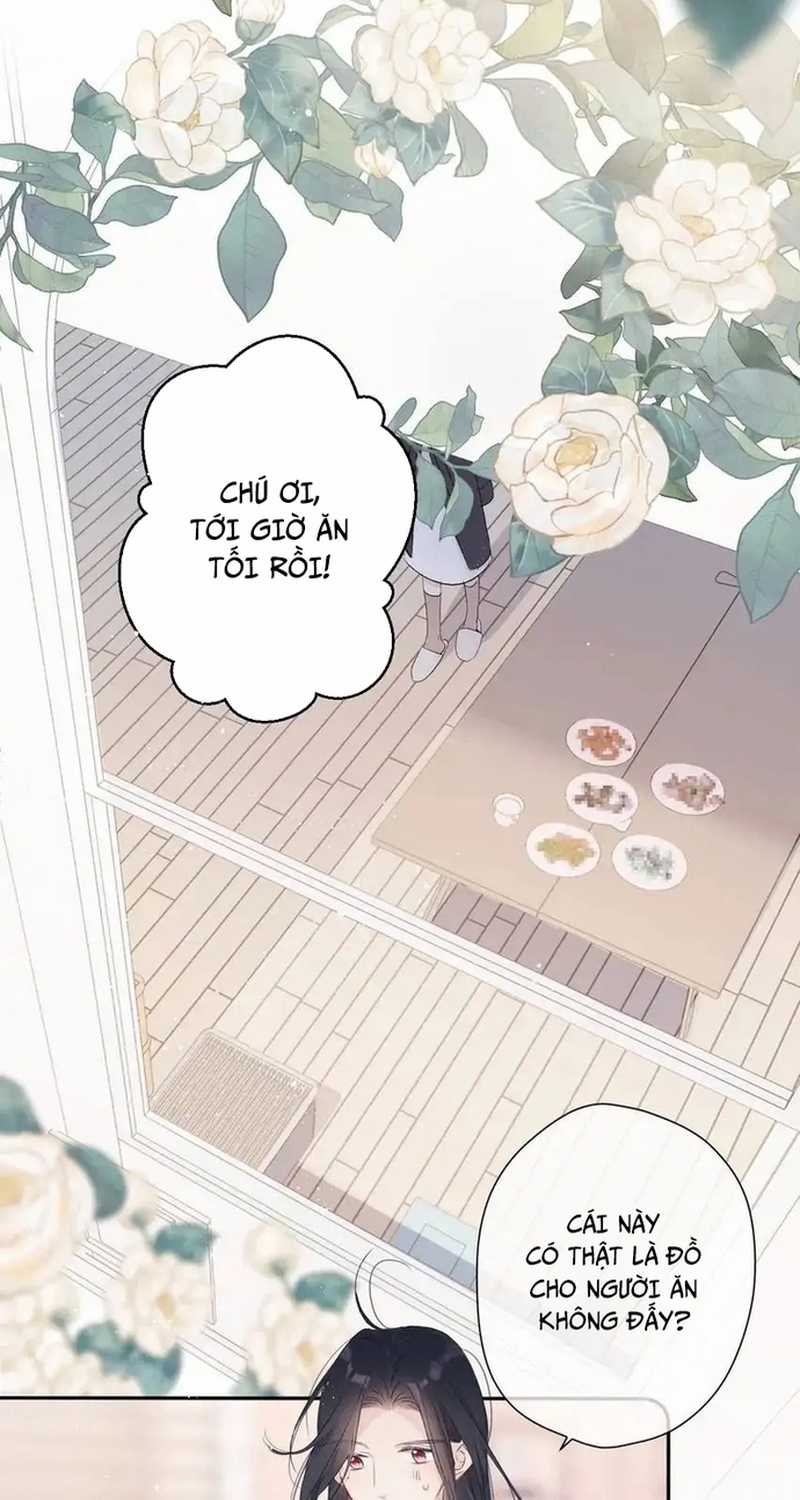 Bảo Vệ Siêu Sao Của Tôi Chapter 162 trang 26