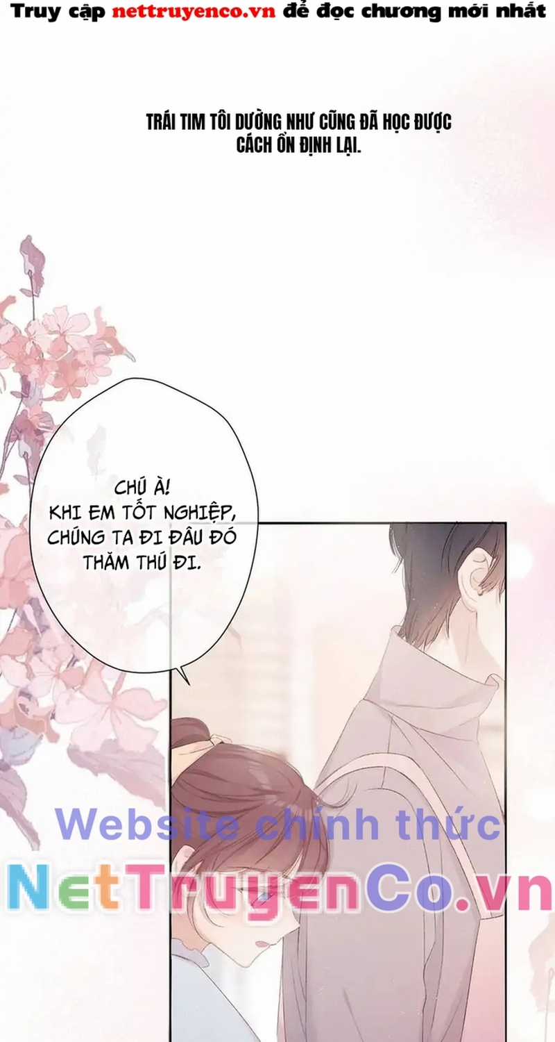 Bảo Vệ Siêu Sao Của Tôi Chapter 162 trang 38