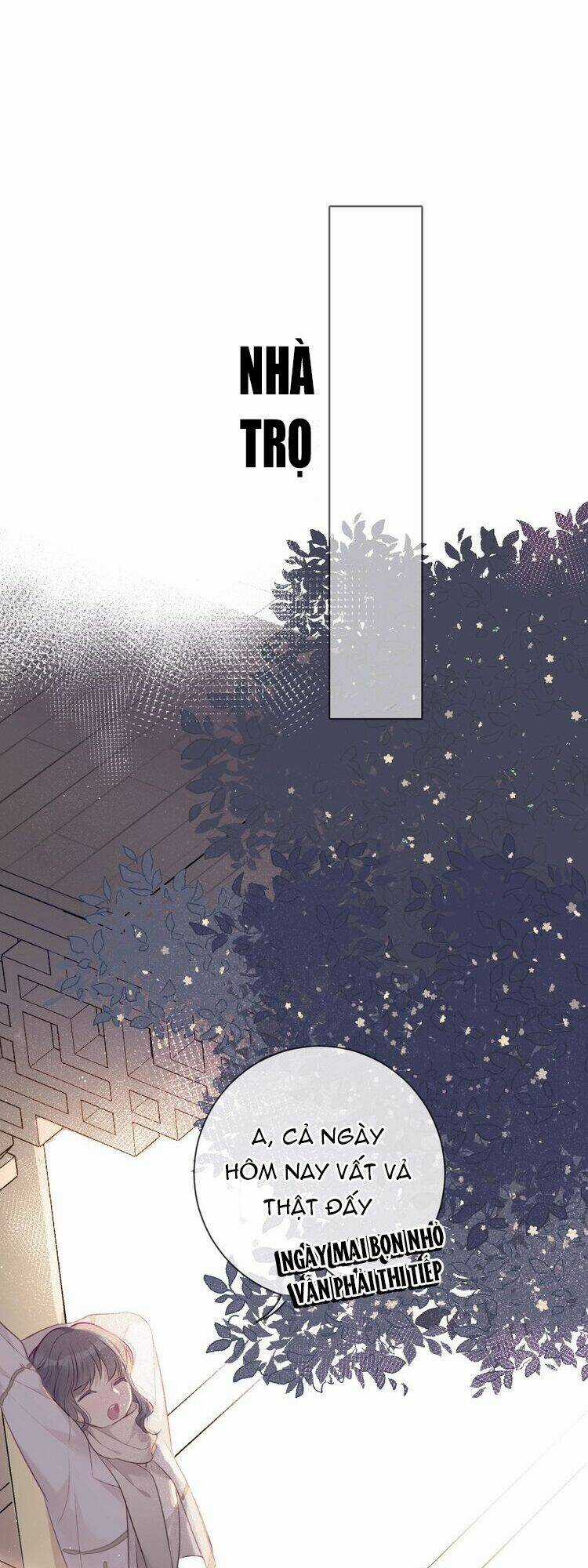 Bảo Vệ Siêu Sao Của Tôi Chapter 17 trang 16