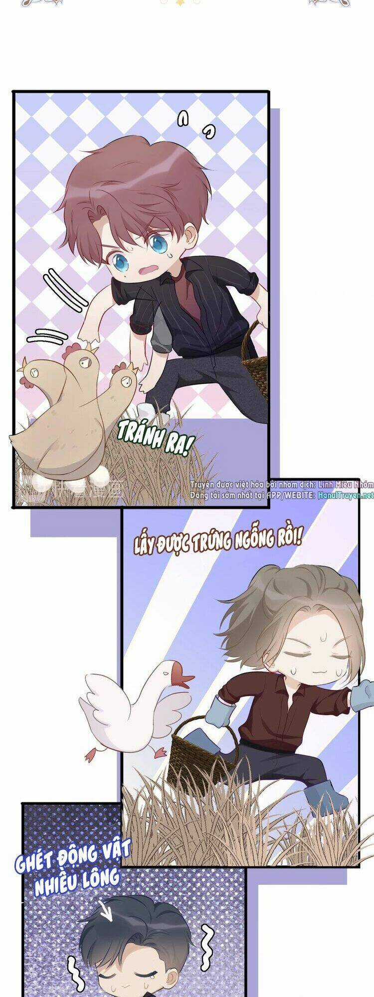 Bảo Vệ Siêu Sao Của Tôi Chapter 17 trang 5