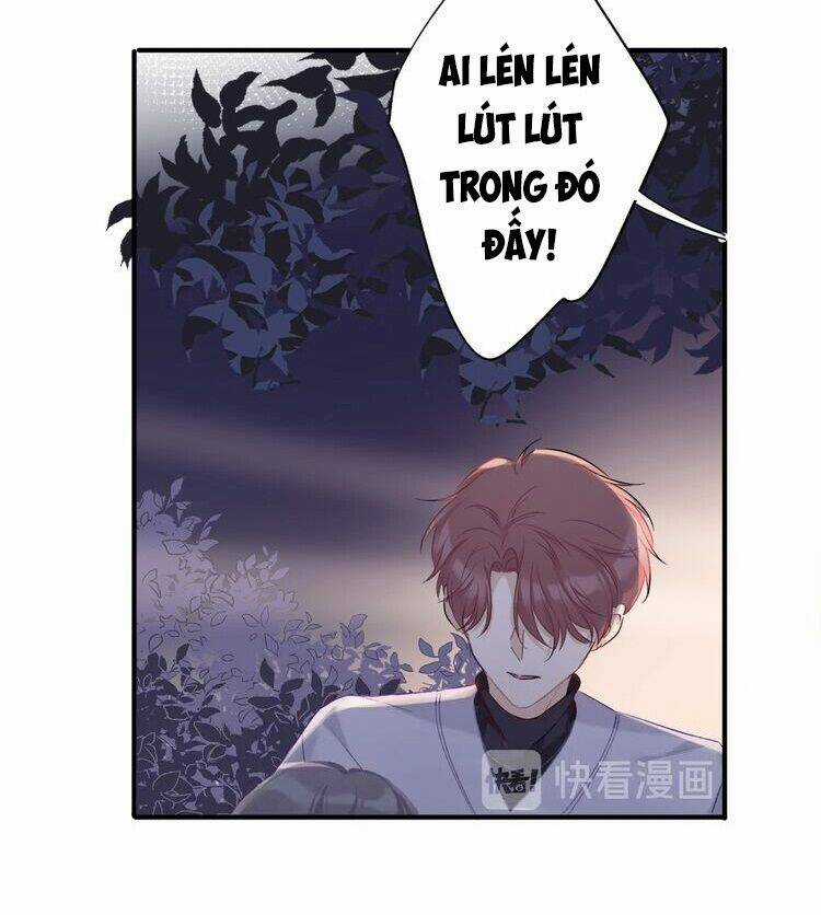 Bảo Vệ Siêu Sao Của Tôi Chapter 18 trang 3