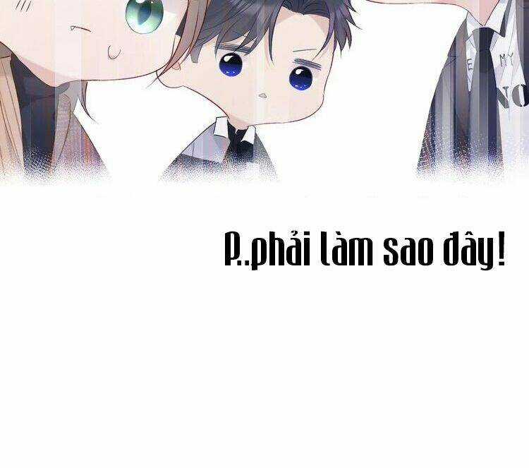 Bảo Vệ Siêu Sao Của Tôi Chapter 19 trang 17