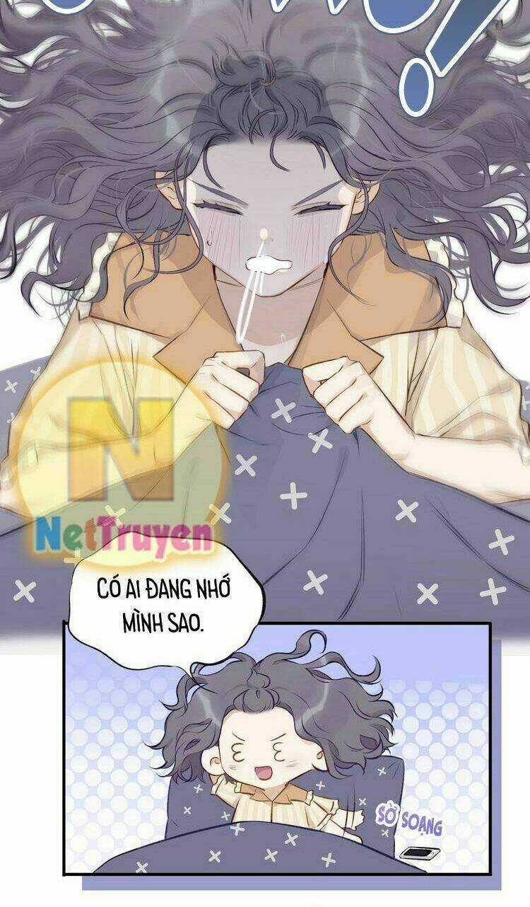 Bảo Vệ Siêu Sao Của Tôi Chapter 2 trang 13