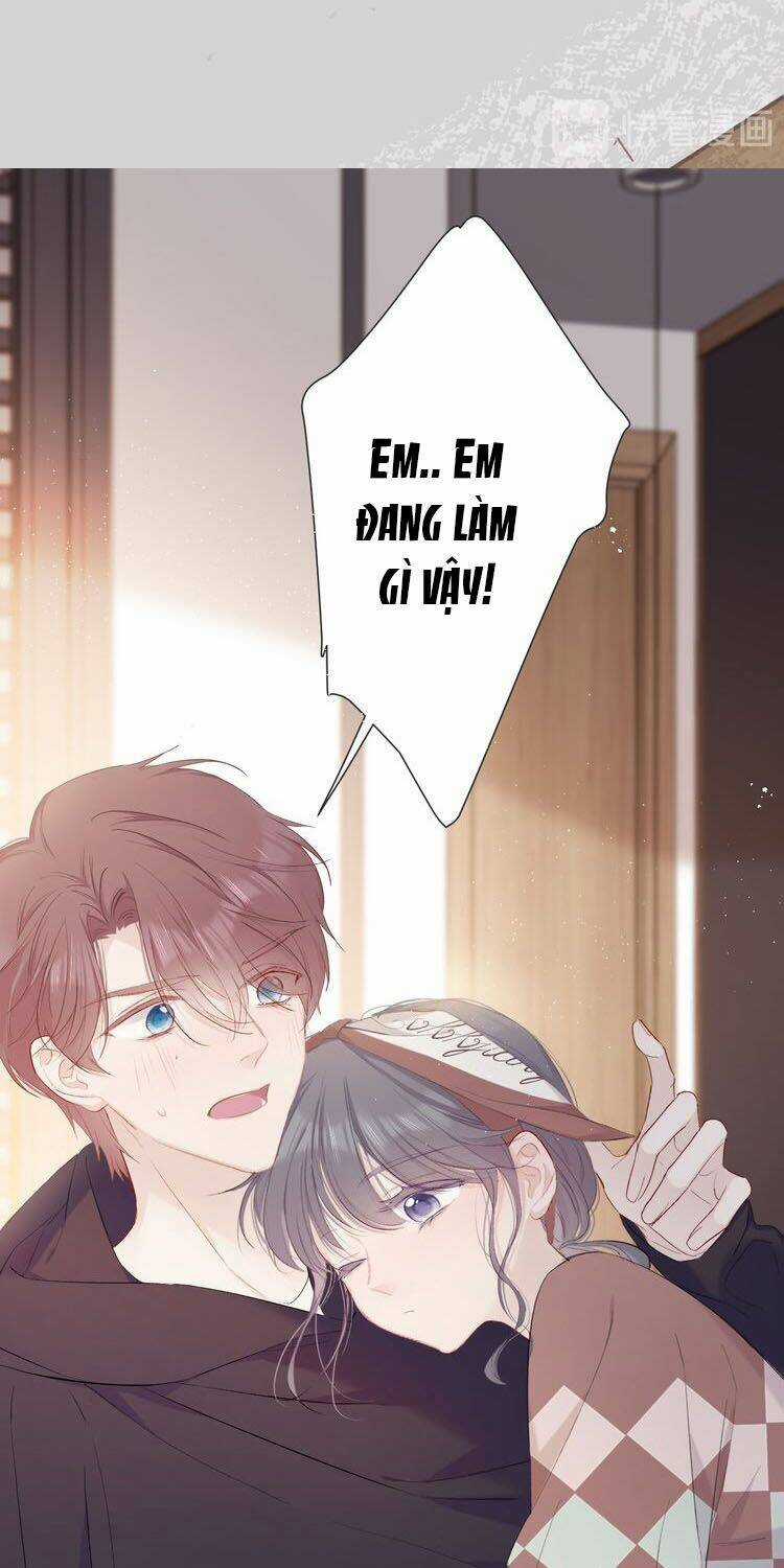 Bảo Vệ Siêu Sao Của Tôi Chapter 38 trang 7