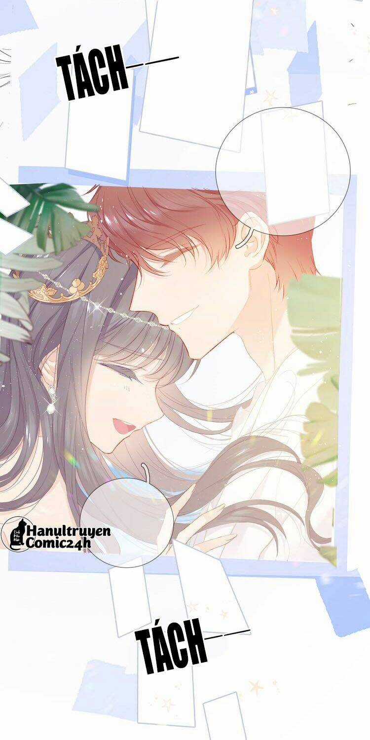 Bảo Vệ Siêu Sao Của Tôi Chapter 41 trang 14