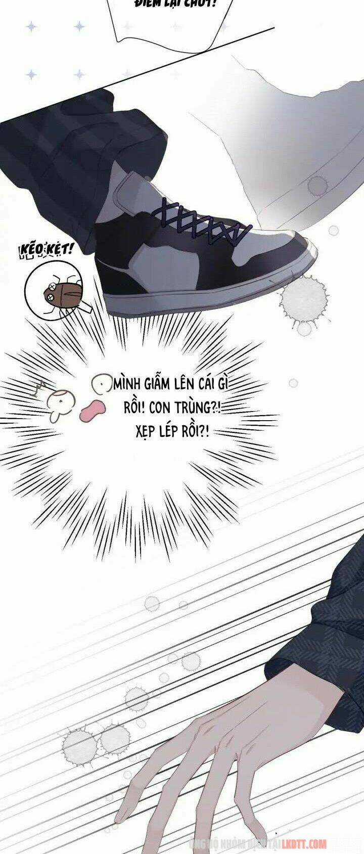 Bảo Vệ Siêu Sao Của Tôi Chapter 46 trang 11