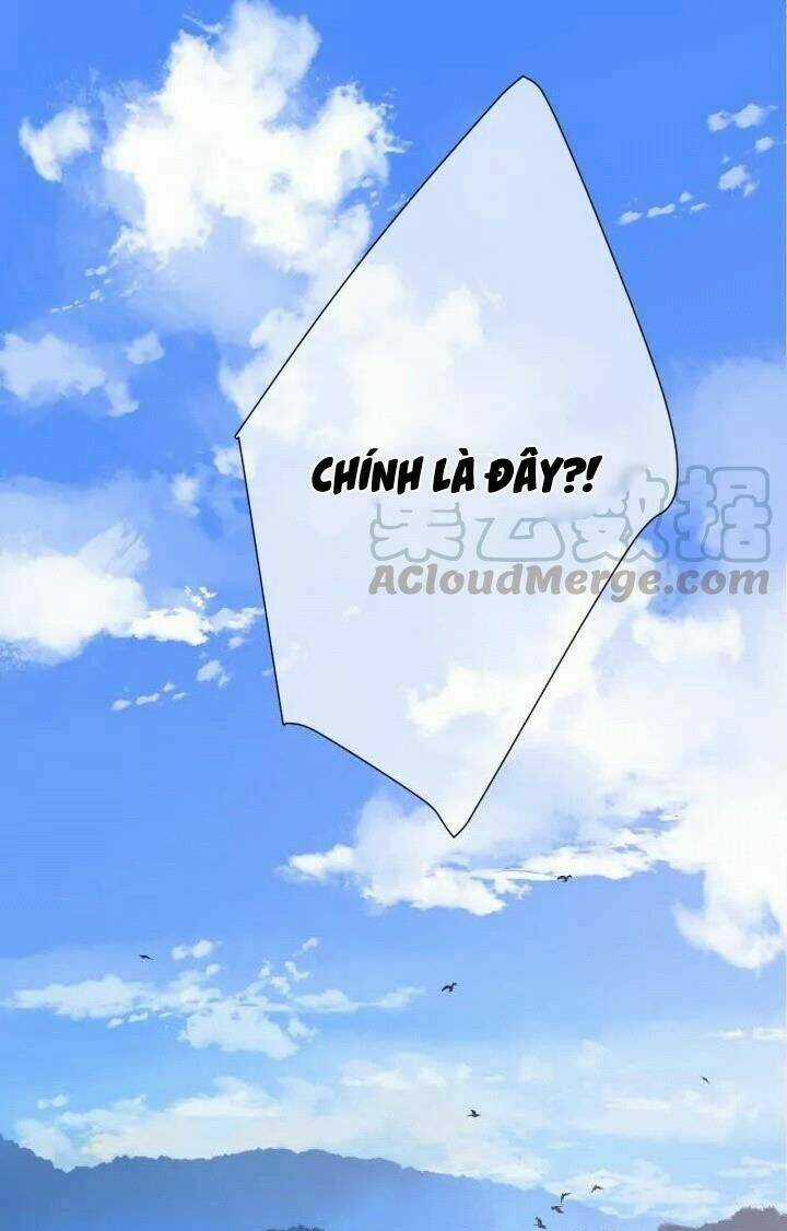 Bảo Vệ Siêu Sao Của Tôi Chapter 46 trang 2