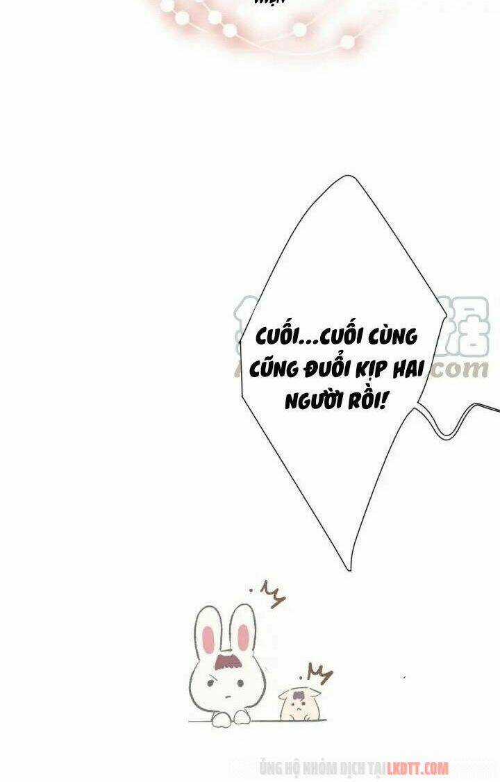 Bảo Vệ Siêu Sao Của Tôi Chapter 46 trang 41