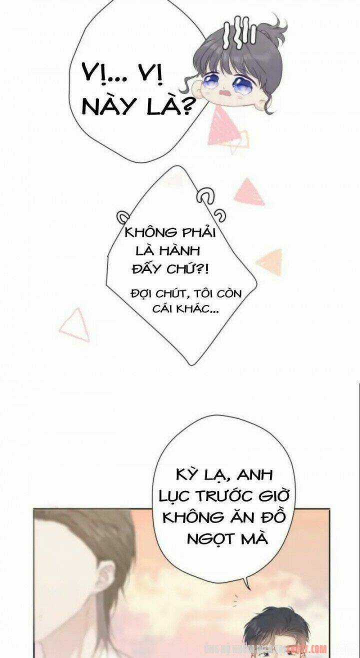 Bảo Vệ Siêu Sao Của Tôi Chapter 47 trang 10