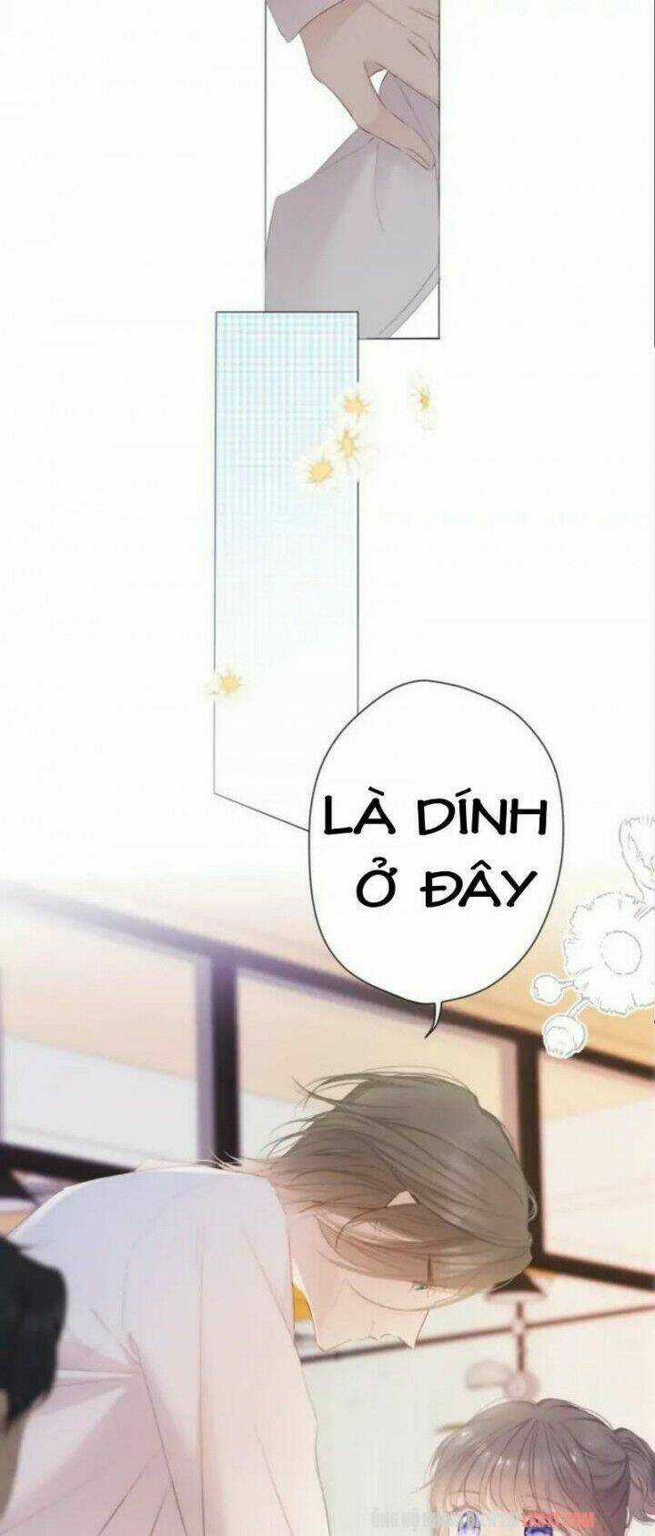 Bảo Vệ Siêu Sao Của Tôi Chapter 47 trang 18