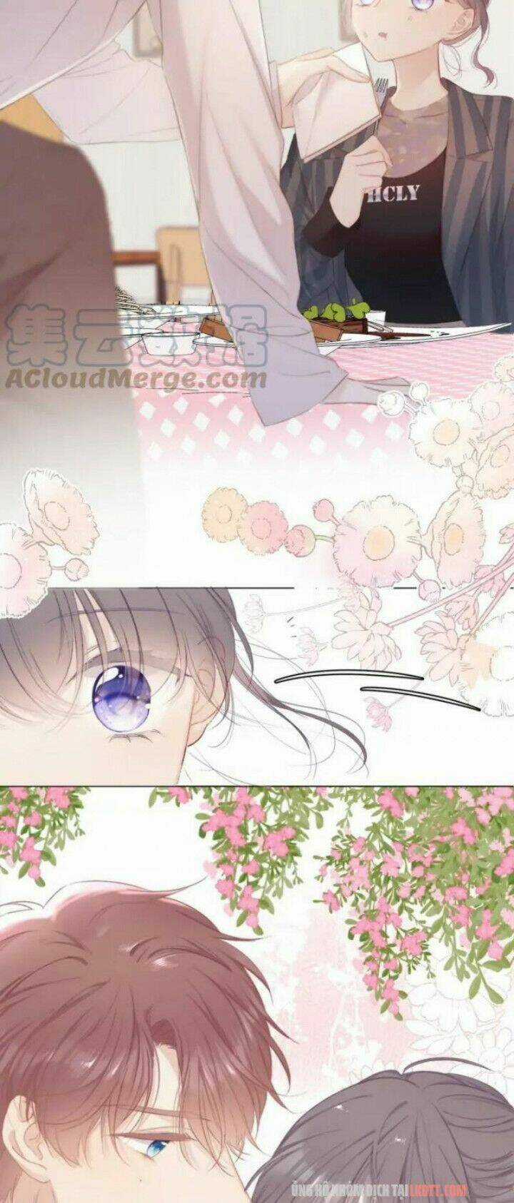 Bảo Vệ Siêu Sao Của Tôi Chapter 47 trang 19