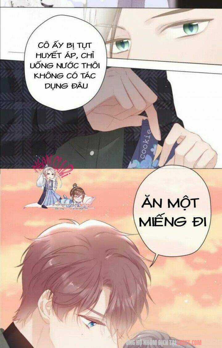 Bảo Vệ Siêu Sao Của Tôi Chapter 47 trang 8