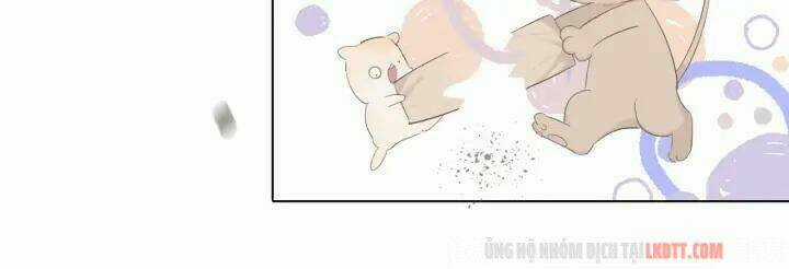 Bảo Vệ Siêu Sao Của Tôi Chapter 48.2 trang 7