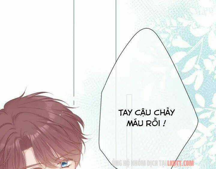 Bảo Vệ Siêu Sao Của Tôi Chapter 49.1 trang 11