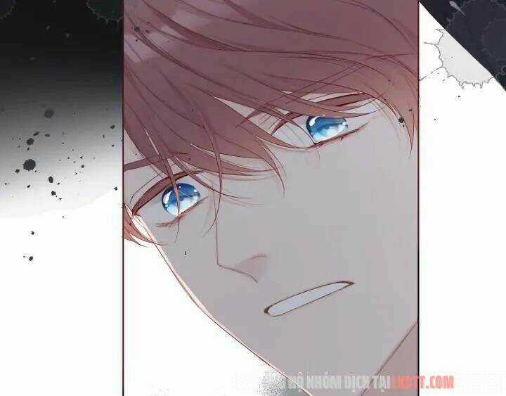 Bảo Vệ Siêu Sao Của Tôi Chapter 49.1 trang 3