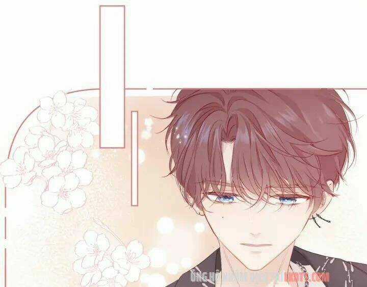 Bảo Vệ Siêu Sao Của Tôi Chapter 49.1 trang 39