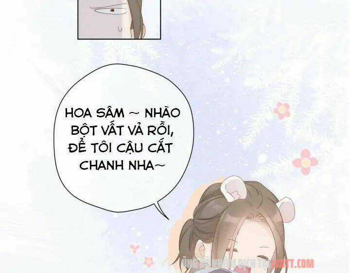 Bảo Vệ Siêu Sao Của Tôi Chapter 49.2 trang 24