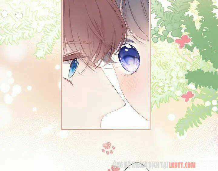 Bảo Vệ Siêu Sao Của Tôi Chapter 50.2 trang 35