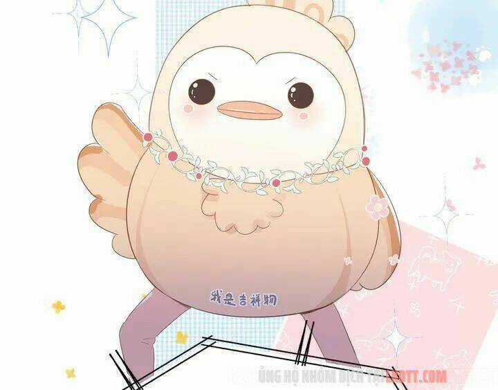 Bảo Vệ Siêu Sao Của Tôi Chapter 50.2 trang 6