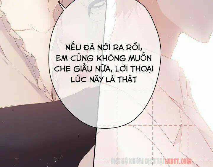 Bảo Vệ Siêu Sao Của Tôi Chapter 52 trang 23