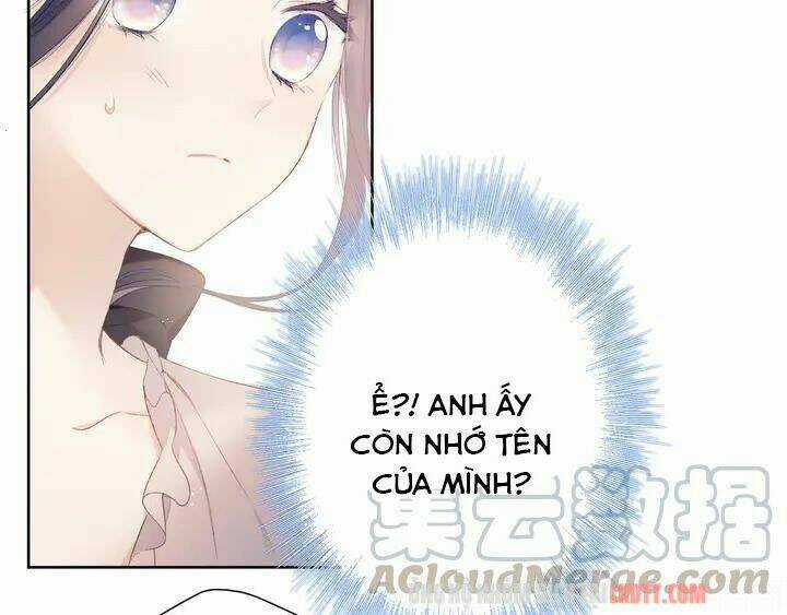 Bảo Vệ Siêu Sao Của Tôi Chapter 52 trang 29