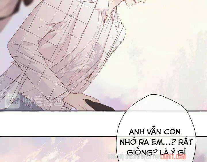 Bảo Vệ Siêu Sao Của Tôi Chapter 52 trang 33