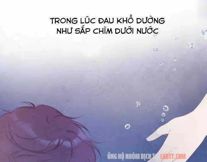 Bảo Vệ Siêu Sao Của Tôi Chapter 52 trang 40