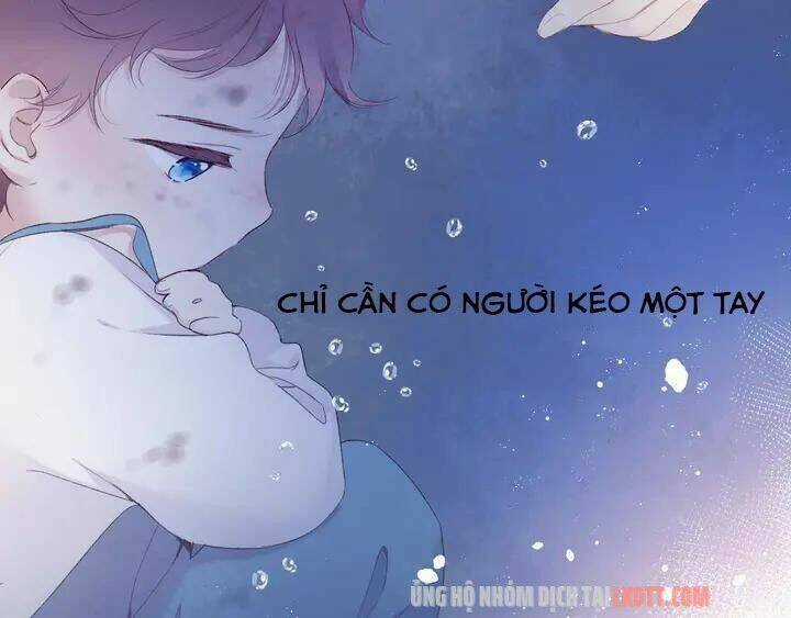Bảo Vệ Siêu Sao Của Tôi Chapter 52 trang 41