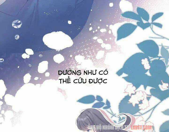 Bảo Vệ Siêu Sao Của Tôi Chapter 52 trang 42