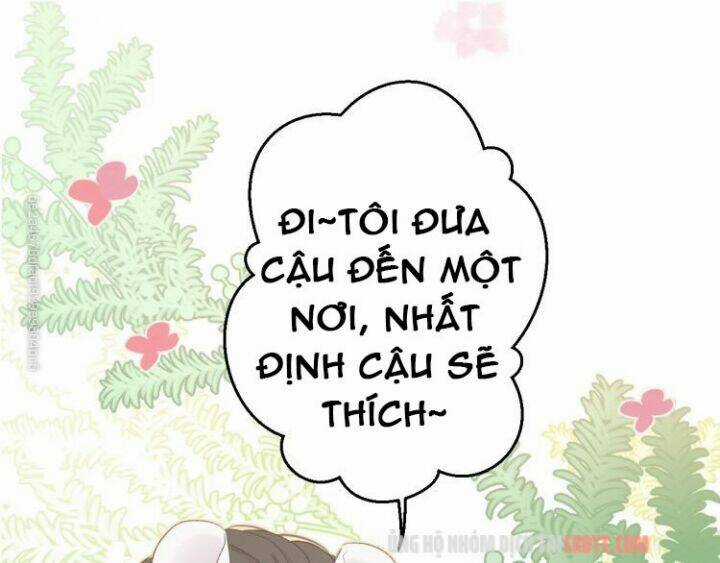 Bảo Vệ Siêu Sao Của Tôi Chapter 56 trang 0