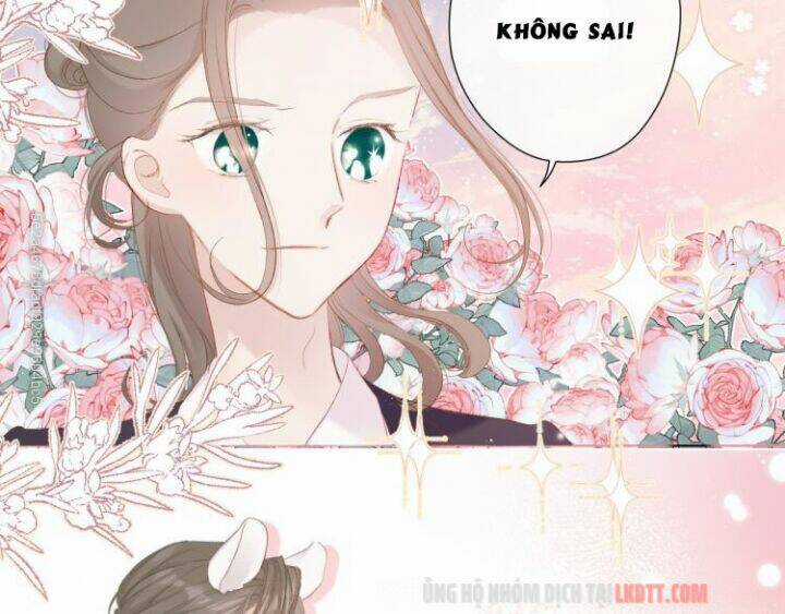 Bảo Vệ Siêu Sao Của Tôi Chapter 56 trang 17