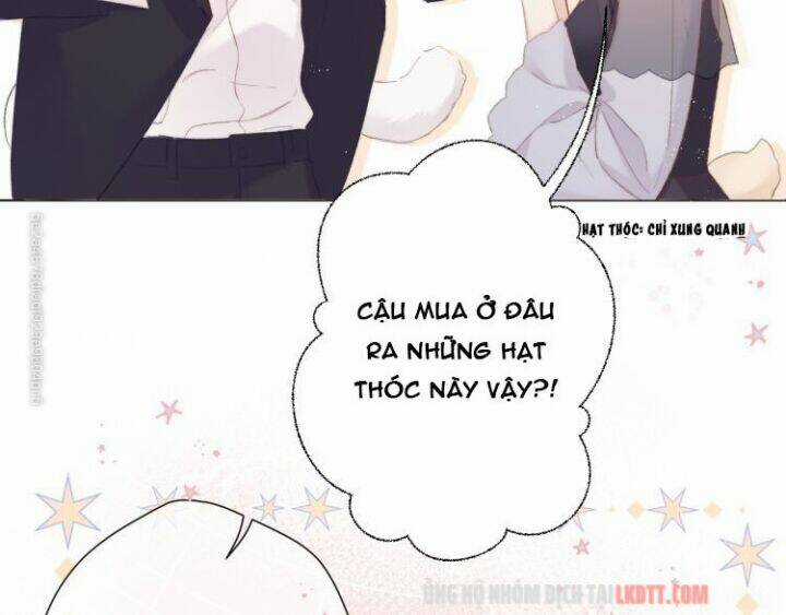 Bảo Vệ Siêu Sao Của Tôi Chapter 56 trang 19