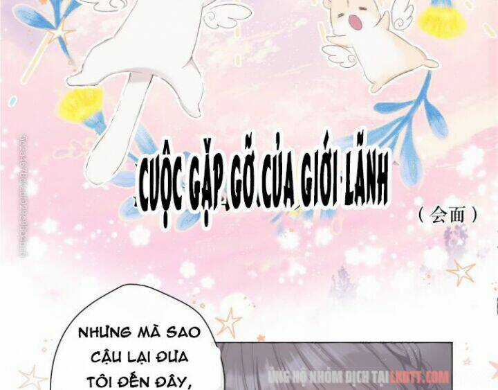 Bảo Vệ Siêu Sao Của Tôi Chapter 56 trang 24