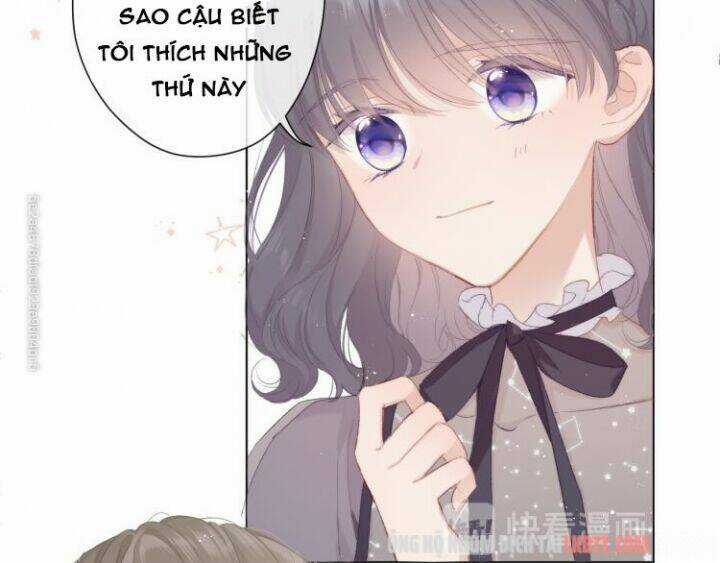 Bảo Vệ Siêu Sao Của Tôi Chapter 56 trang 25