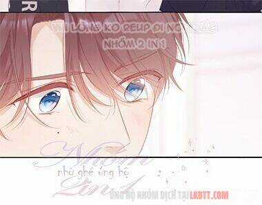 Bảo Vệ Siêu Sao Của Tôi Chapter 58 trang 15