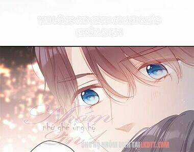 Bảo Vệ Siêu Sao Của Tôi Chapter 58 trang 4