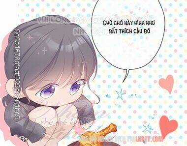 Bảo Vệ Siêu Sao Của Tôi Chapter 58 trang 51