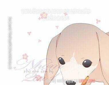 Bảo Vệ Siêu Sao Của Tôi Chapter 58 trang 55