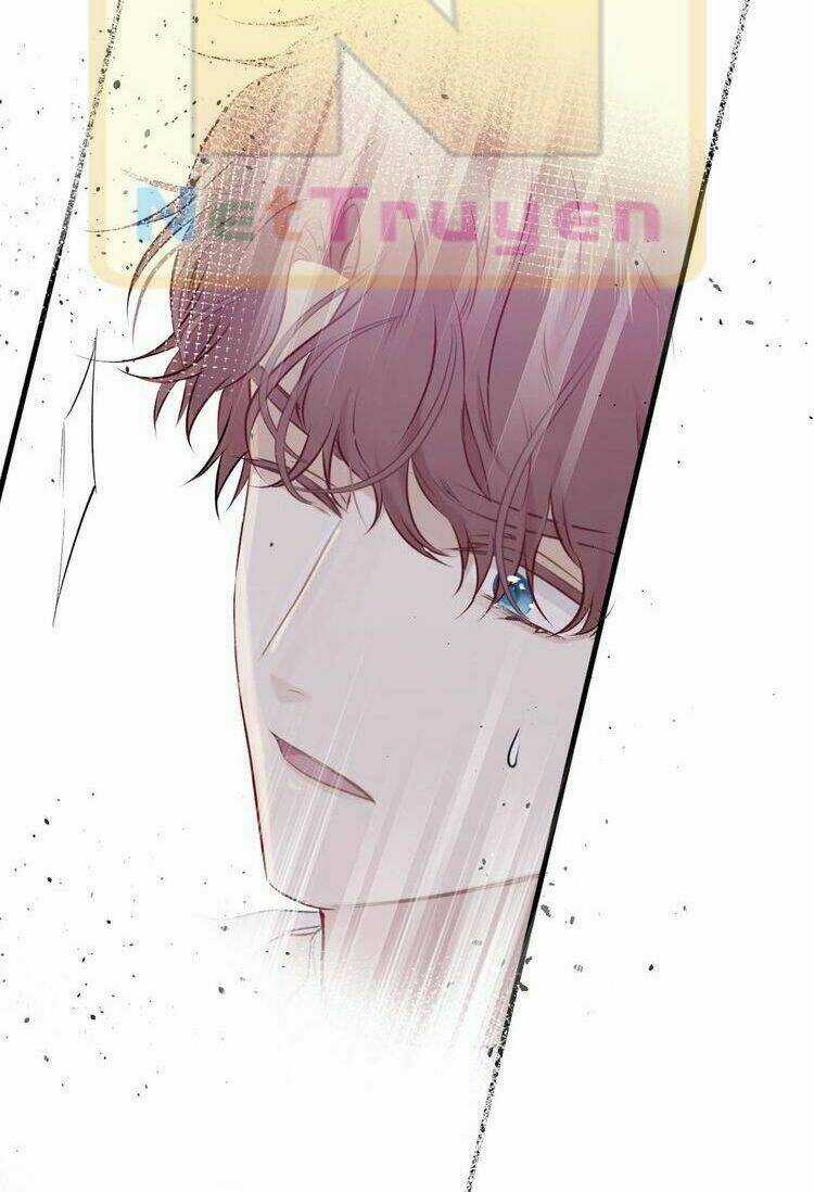 Bảo Vệ Siêu Sao Của Tôi Chapter 6 trang 24